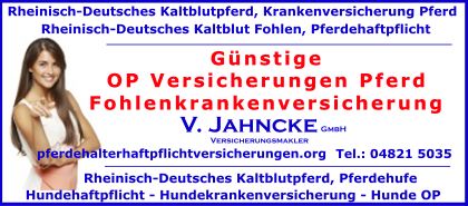OP-Versicherungen-Pferd